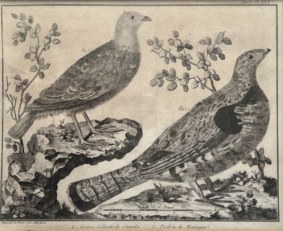 After MARTINET, 19th century

Two engravings...