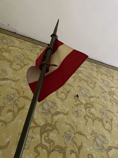 German cavalry lance, in iron painted in...