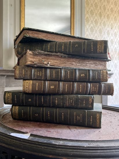
History of the two Restorations by Achille...
