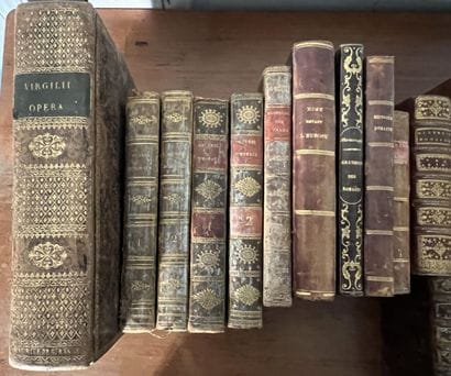 ROME, ANTIQUITY AND LATIN AUTHORS

Strong...