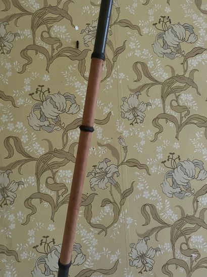 German cavalry lance, in iron painted in...