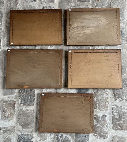 Suite of five optical views, 18th century

Representing...