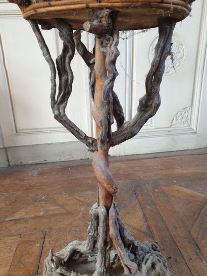 Small root planter circa 1900

H.78, W.32,...