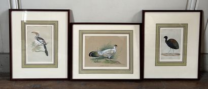 French school, 19th century

Study of three...