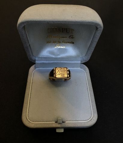 Gold batch

Weight : 40 grams