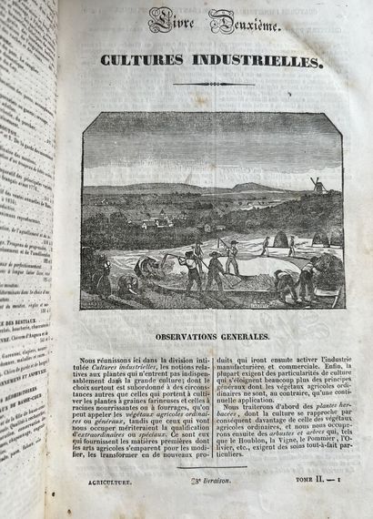 Rustic house of the 19th century

Encyclopedia...