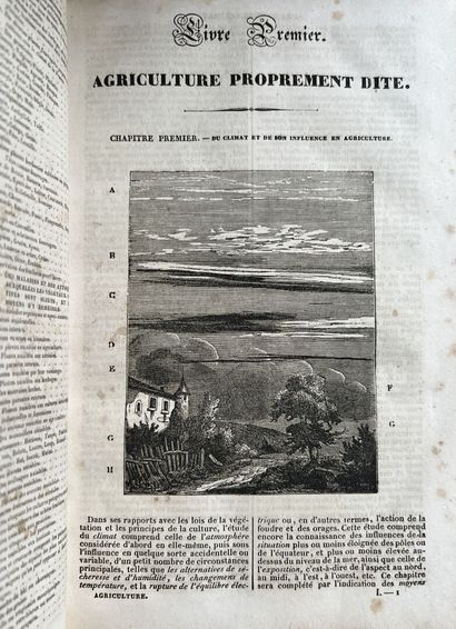 Rustic house of the 19th century

Encyclopedia...