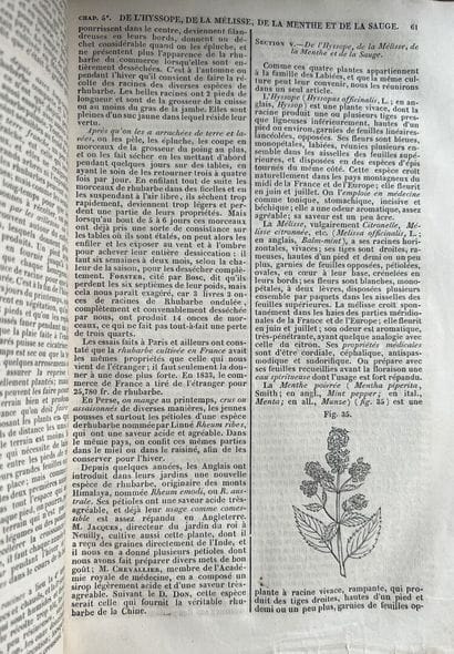 Rustic house of the 19th century

Encyclopedia...