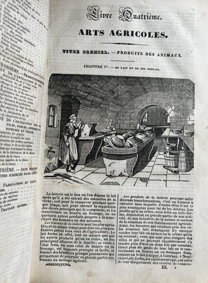 Rustic house of the 19th century

Encyclopedia...
