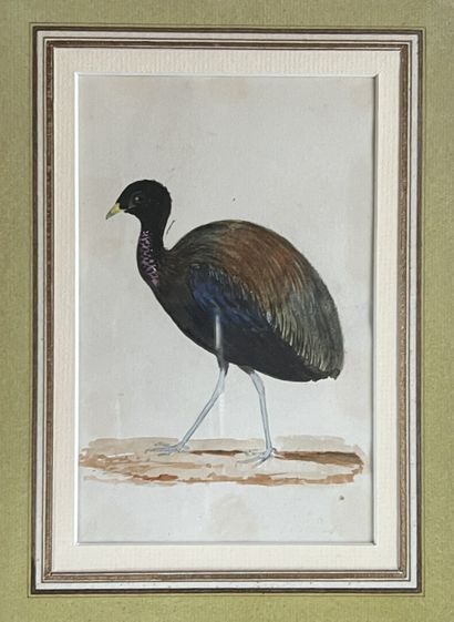 French school, 19th century

Study of three...