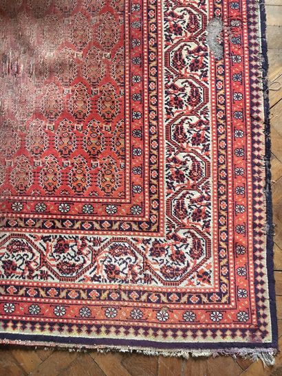 Woolen carpet with red background decorated...