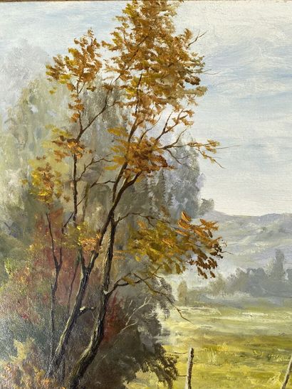 Michel LAMOTTE (XXth)

Landscape with a pond...