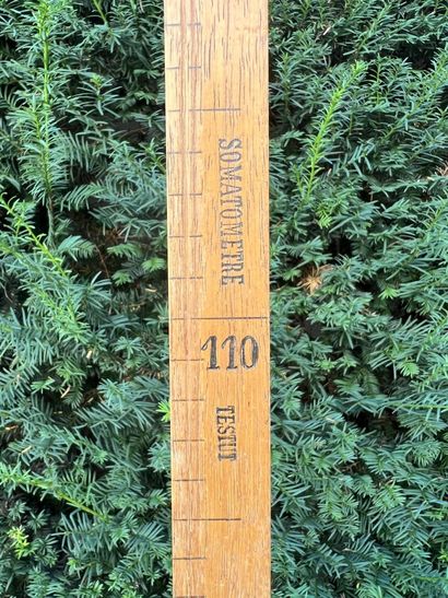 Weighing person and toise. 

H. 29 cm