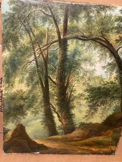 GERMAN SCHOOL circa 1800

A path in the forest

Oil...