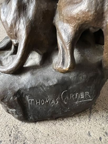 Thomas CARTIER

The family of lions

Bronze...