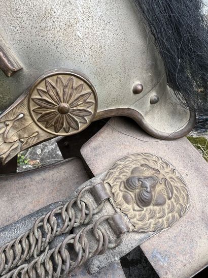 Crest helmet of Chasseurs, model 1912. Iron...