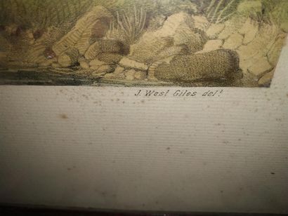 D'après HERRING, gravure de West-Giles
Deux...
