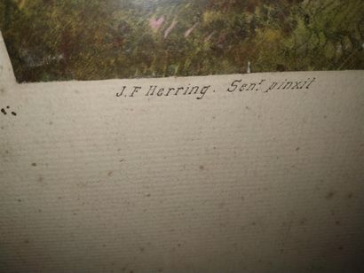 D'après HERRING, gravure de West-Giles
Deux...