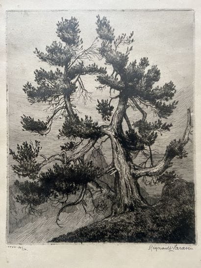 Régnault Sarasin (1886-1943) 
Tree
Etching,...