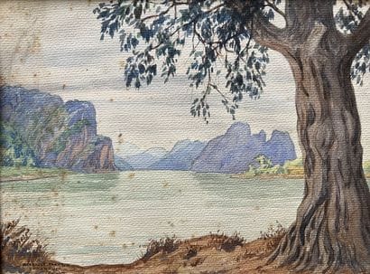 Regnault Sarasin (1886-1943)
Donan-Vi, North...