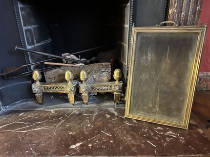 Chenets in bronze from the Louis XVI period...