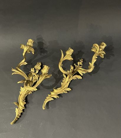 Paire d'appliques en bronze ciselé et doré...