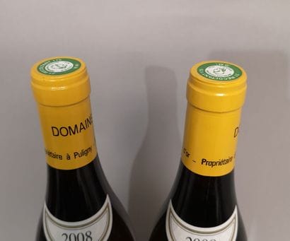 * 2 bottles PULIGNY MONTRACHET 1er Cru 