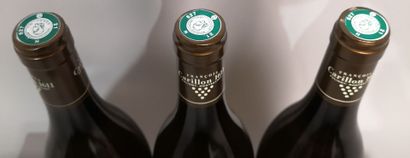 * 3 bottles PULIGNY MONTRACHET 1er Cru 