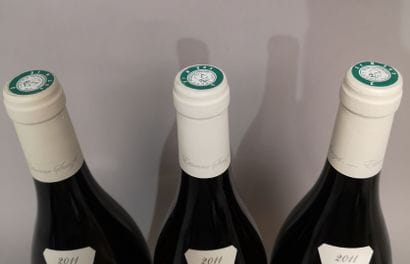 * 3 bottles PULIGNY MONTRACHET 1er Cru 