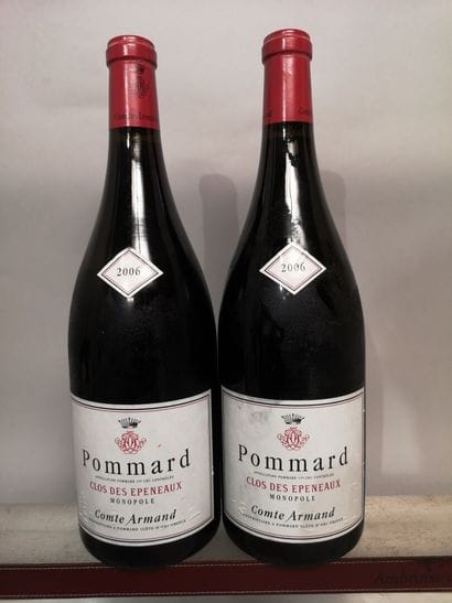 * 2 magnums POMMARD 1er Cru 