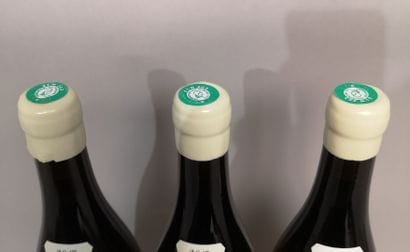 * 3 bottles PULIGNY MONTRACHET 1er Cru 
