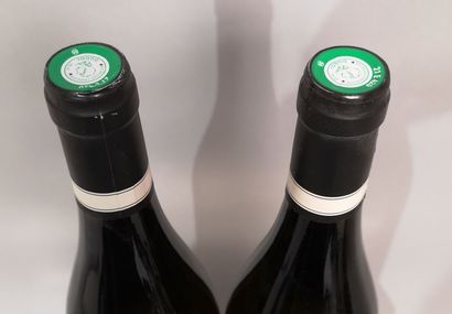 * 2 bottles PULIGNY MONTRACHET 1er Cru 