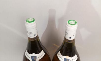 2 magnums MEURSAULT GENEVRIERES 1er cru 