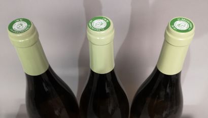 * 3 bottles PULIGNY MONTRACHET 1er Cru 