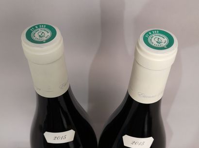 * 2 bottles PULIGNY MONTRACHET 1er Cru 