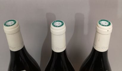 * 3 bottles PULIGNY MONTRACHET 1er Cru 