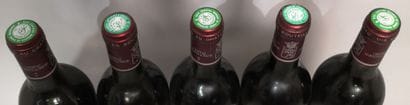5 bottles Château MARQUIS DE TERME - 4th...