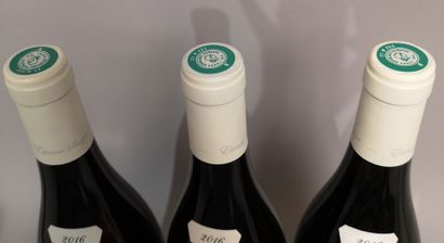* 3 bottles PULIGNY MONTRACHET 1er Cru 