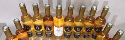 12 bottles 50 cl Domaine de La GRAVE Blanc...