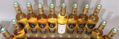 12 bottles 50 cl Domaine de La GRAVE Blanc...