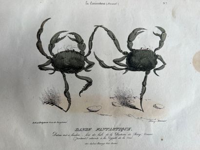 La Caricature (Journal), 1832-1834
Grouping...