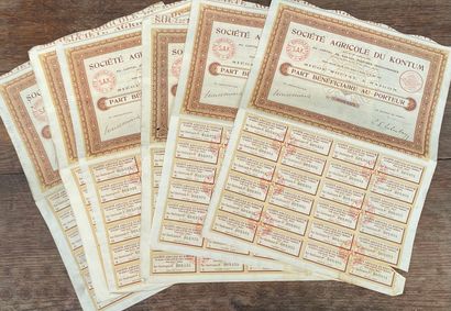Shares in the Kontum Agricultural Society...