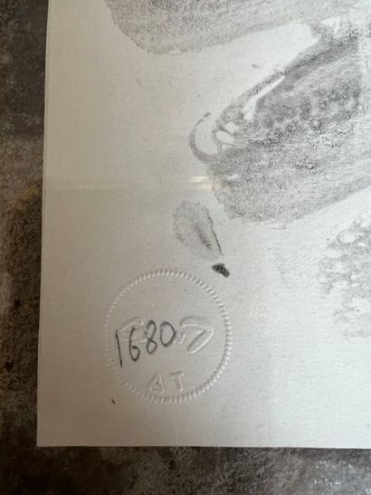 André MASSON (1896-1987)
Athis, 1963
Ink...