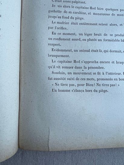 Jules Verne - Extraordinary journeys
The...