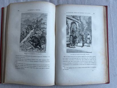 Jules Verne - Extraordinary journeys
The...