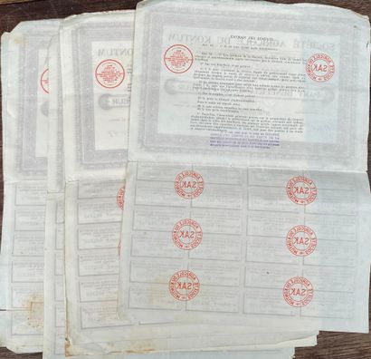 Shares in the Kontum Agricultural Society...