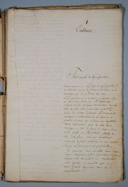 ALSACE. Manuscrit signé « S. C. Cosin » intitulé...