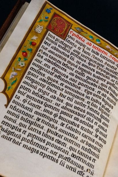 [Manuscrit enluminé du XVIe siècle] [Humanisme]....
