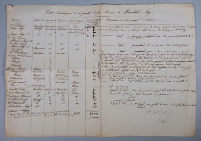 [Manuscrit]. [Généalogie]. [Ney (Michel),...
