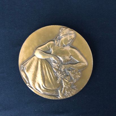 Bronze MEDAL from the reign of Louis XVIII.
Triumphal...